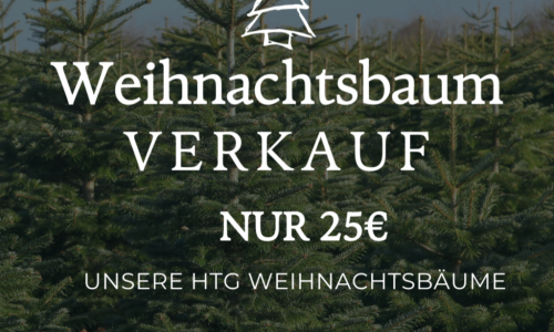 Weihnachtsbaumverkauf für 25€!