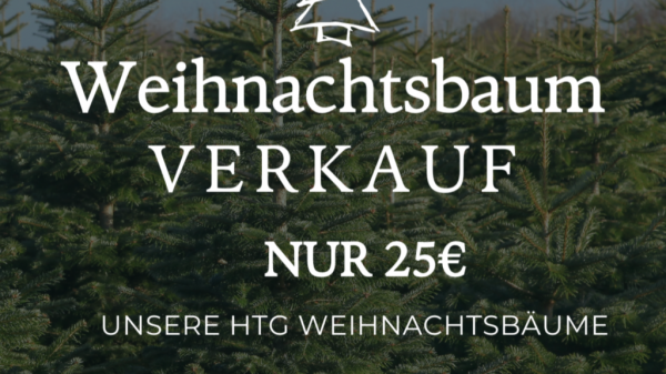 Weiss-Dunkel-Minimalistisch-Weihnachtsbaum-Verkauf-Instagram-Post-3