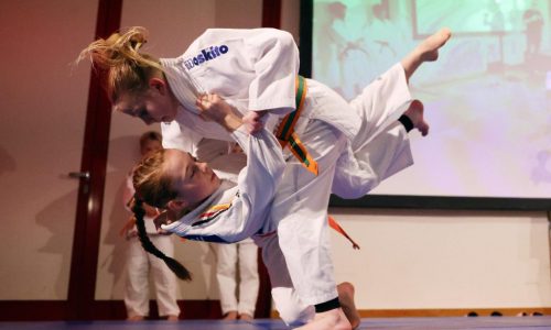 Judo-Vorführung unserer Jugend bei der Sportlerehrung des Hochtaunuskreises | 11.03.